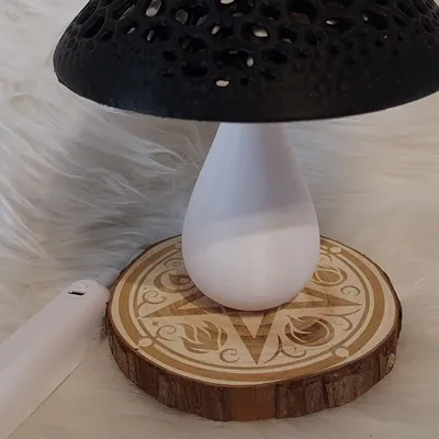 Lampe champignon 
